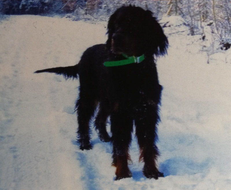 AMÉLIE OD ZÁMECKÉHO KOPCE