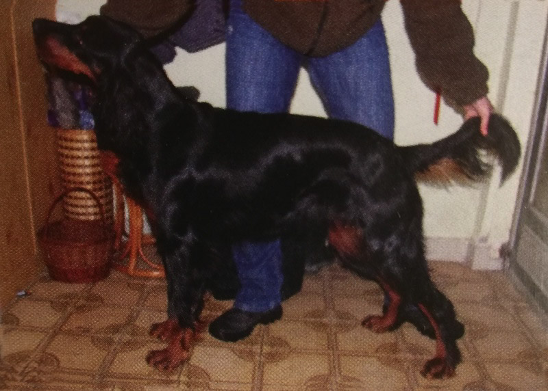 CITTA Z DVORKU ČAMOURKU