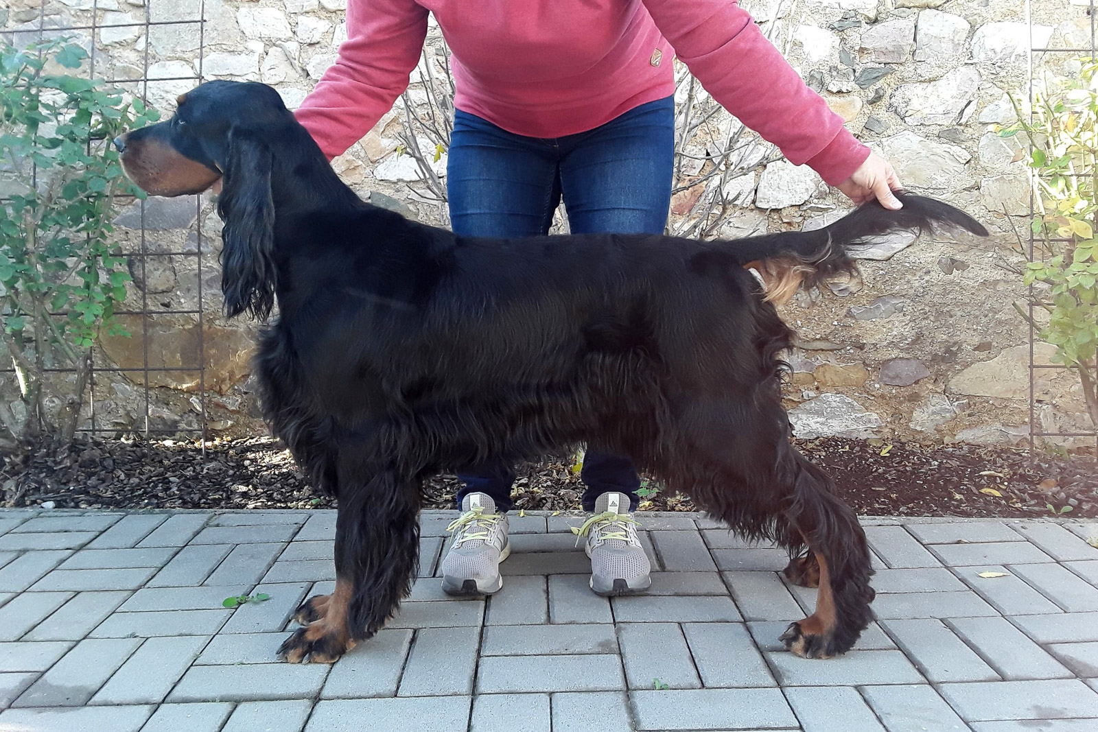 ABIGAIL SCOTCH DO POLE