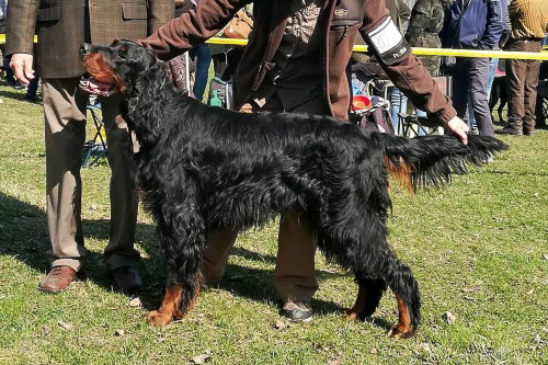 BRIX Z HOLUBICKÉ STRÁNĚ