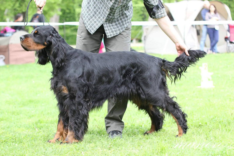 CAREN Z HOLUBICKÉ STRÁNĚ