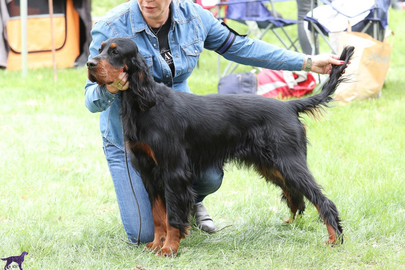 FIL-KAZ FROM THE GREEN SCOTLAND KAMA