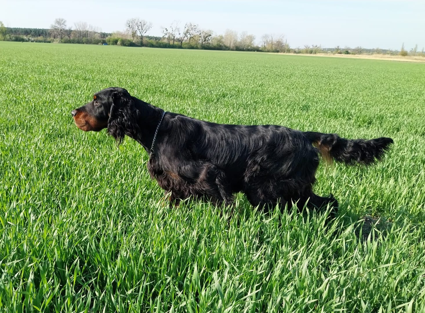 GORDON RACER MANON LESCAUT