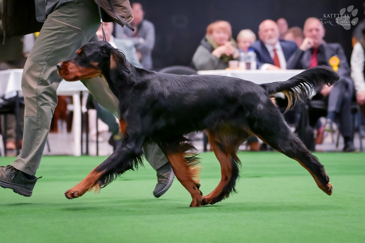 HOPE Z HOLUBICKÉ STRÁNĚ