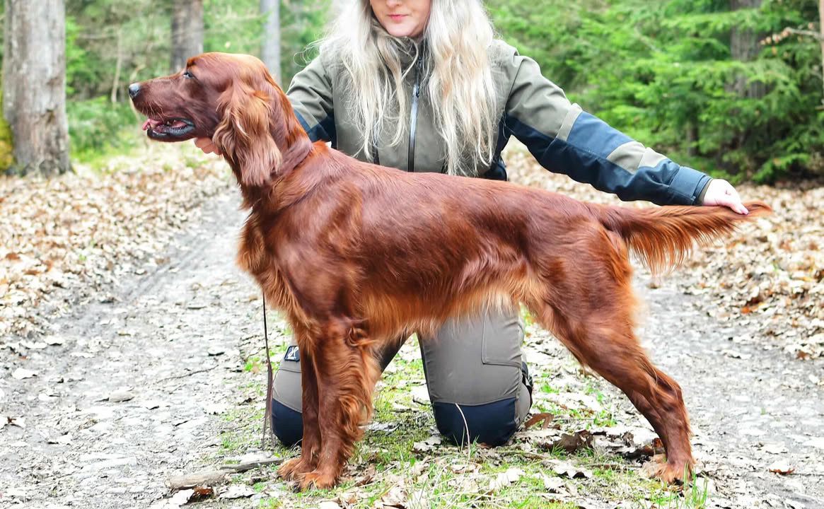 PREA Z JIROUŠKOVA DVORA