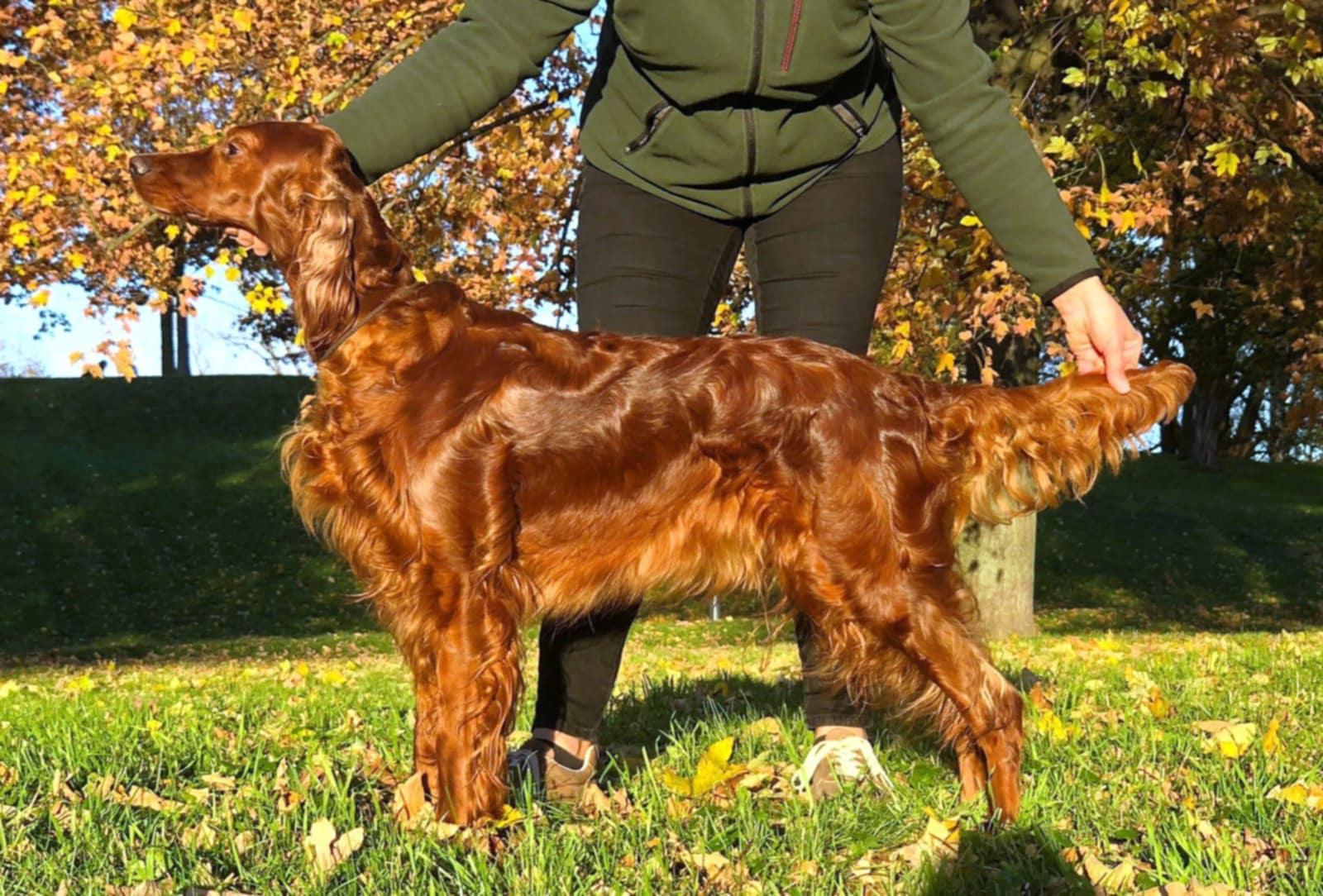 GABRIELLA FOXY MIRELIONNE