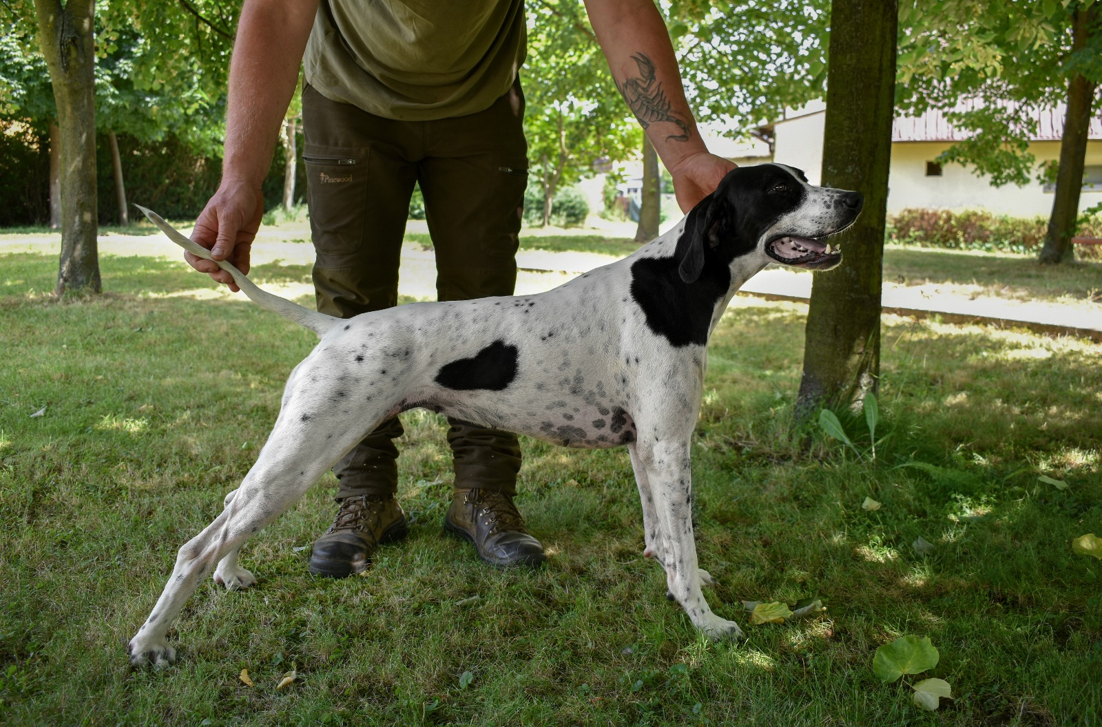 Donna od Táborských Dvořáků