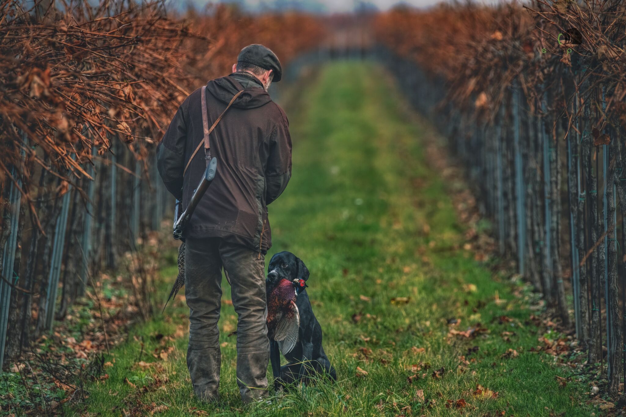 Inferno ze Zaječích polí